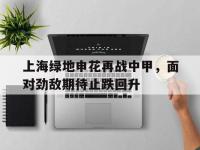 爱游戏下载-关于上海绿地申花再战中甲，面对劲敌期待止跌回升的信息