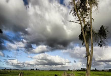 爱游戏官方-莱切斯特城力擒对手，扭转颓势