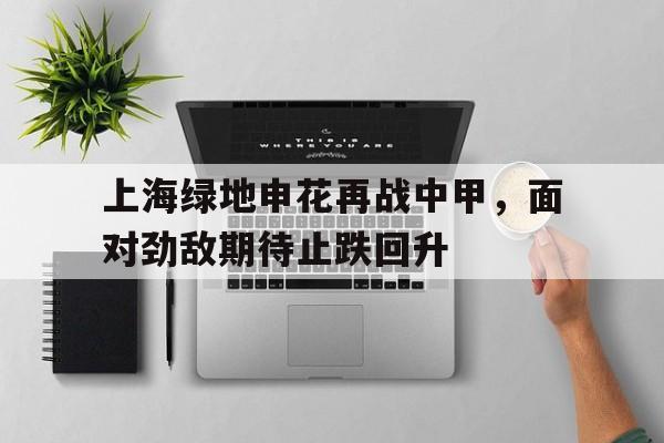 关于上海绿地申花再战中甲，面对劲敌期待止跌回升的信息