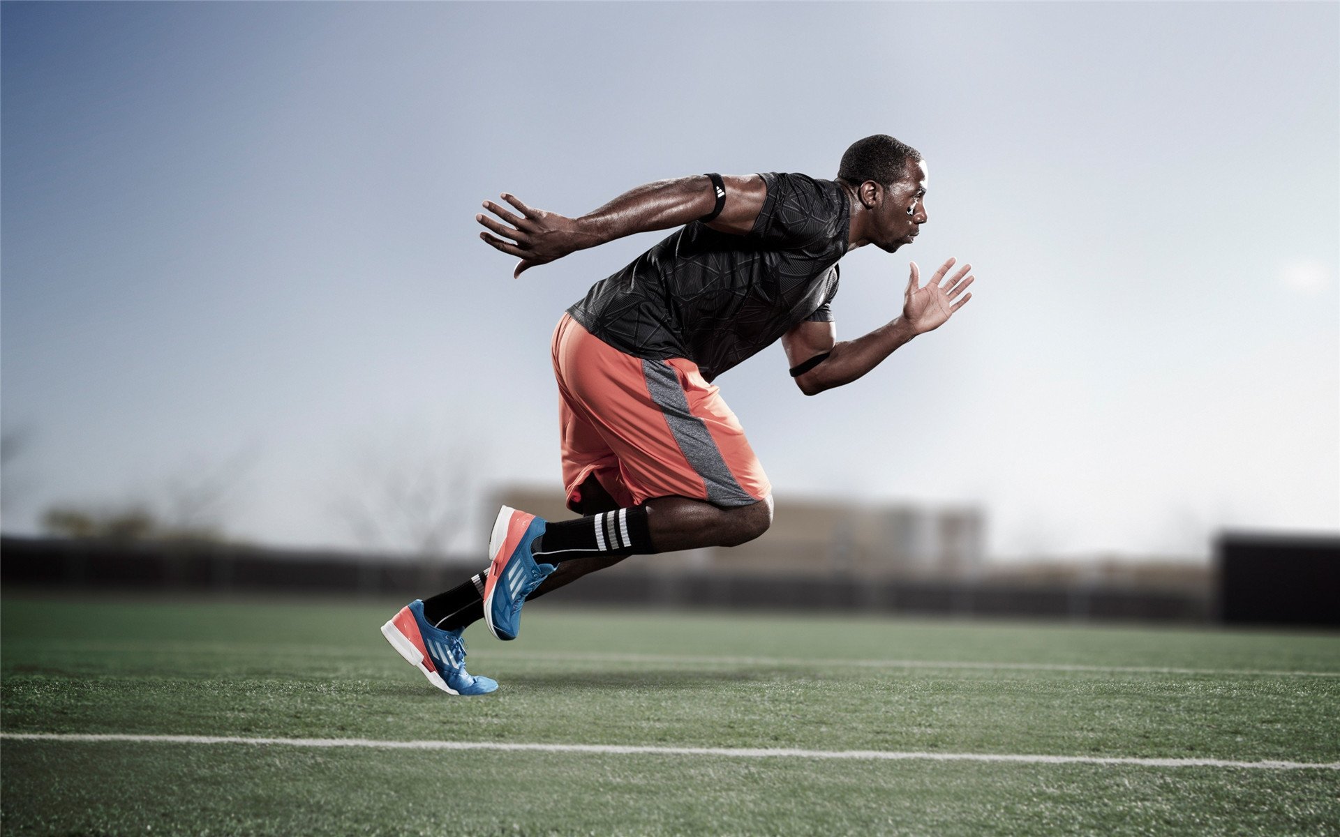 独家分析，范戴克如何用统治级数据冰封澳大利亚，为新西兰奠定胜局